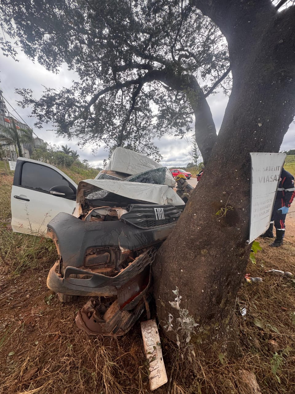 Motorista fica preso às ferragens após bater em árvore