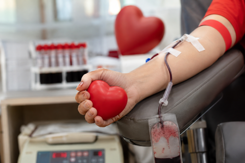 Junho Vermelho lembra que doar sangue salva vidas