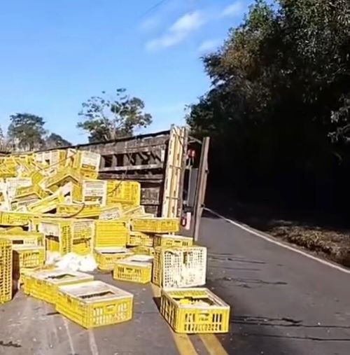 Caminhão de frangos tomba e carga fica espalhada na rodovia