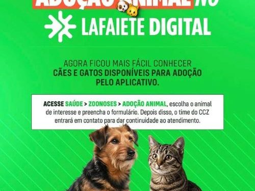 Lafaiete lança adoção digital de cães e gatos por aplicativo