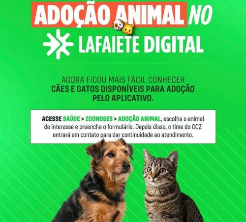 Lafaiete lança adoção digital de cães e gatos por aplicativo