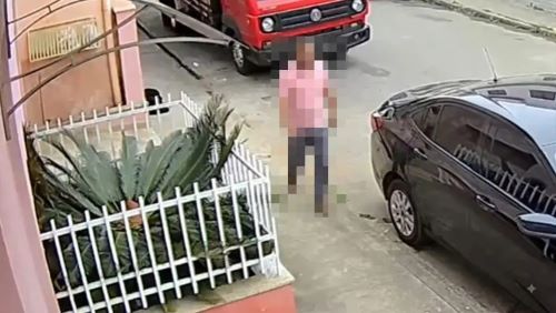 Câmeras flagram suspeita de envenenamento de cães em Carandaí