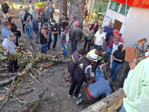 Dentista é atingida por galho em praça de Barbacena