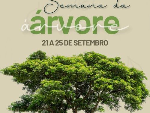 Semana da Árvore terá ações ambientais em Ouro Branco