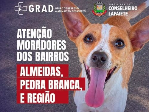 Castração gratuita atende cães e gatos na zona rural de Lafaiete