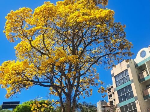 Primavera chega com calor e temporais em Minas