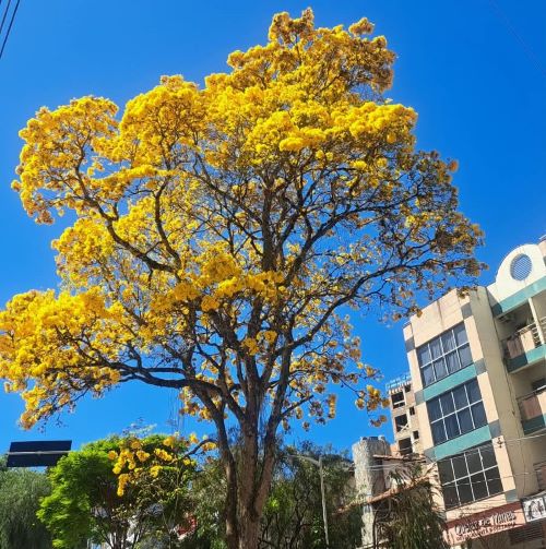 Primavera chega com calor e temporais em Minas